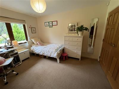 Picture 23